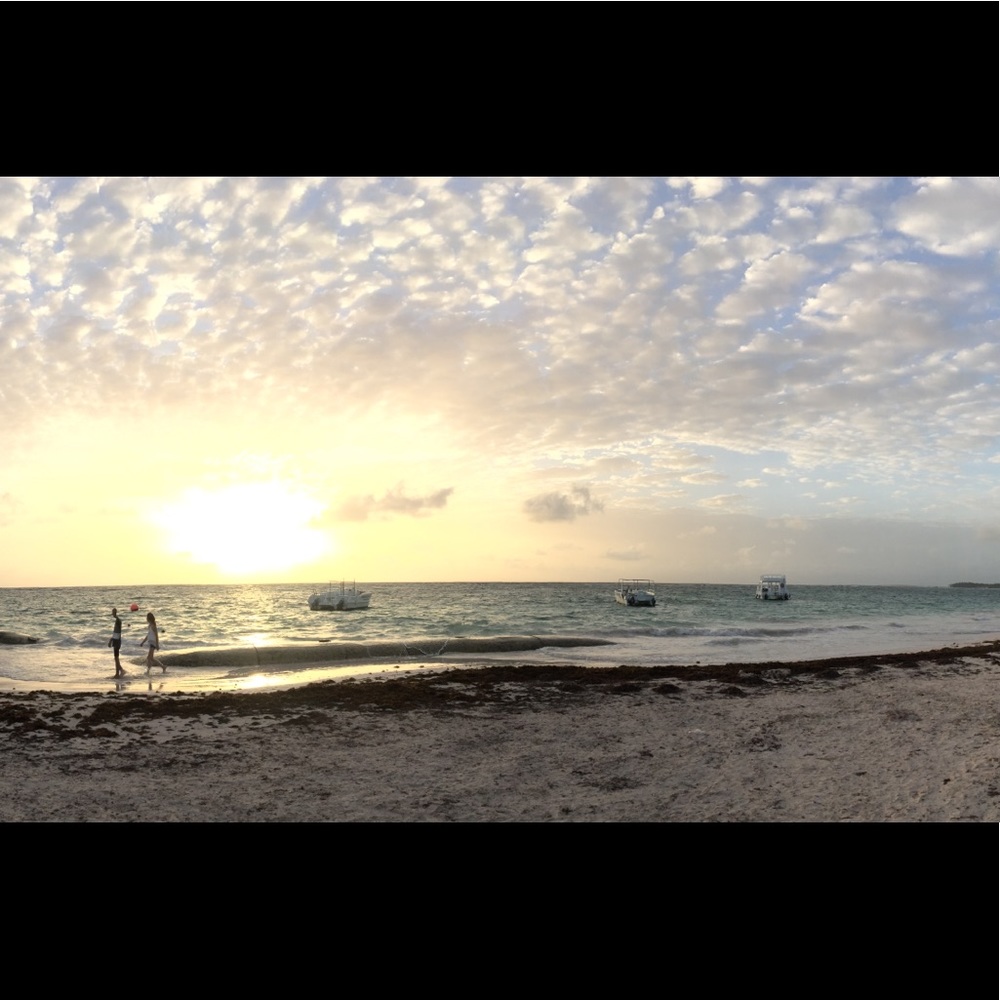 Meet your Posher, Romie